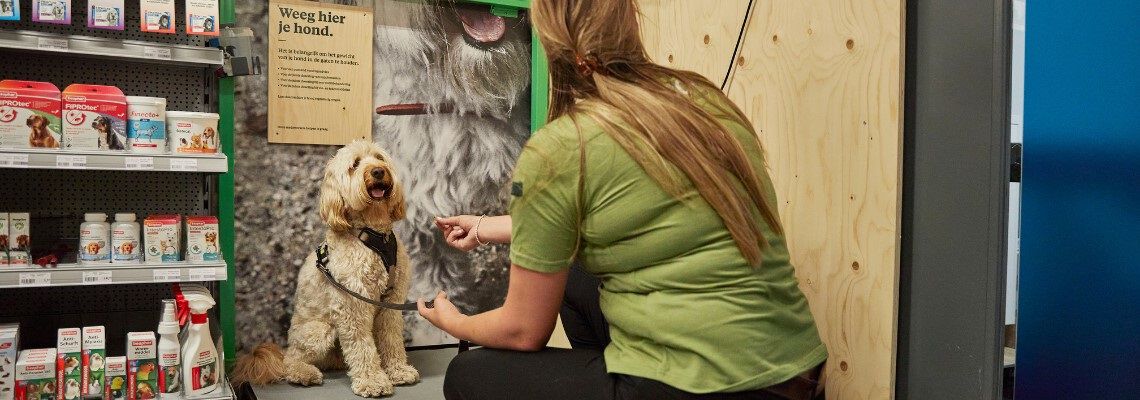 Is mijn hond te dik?